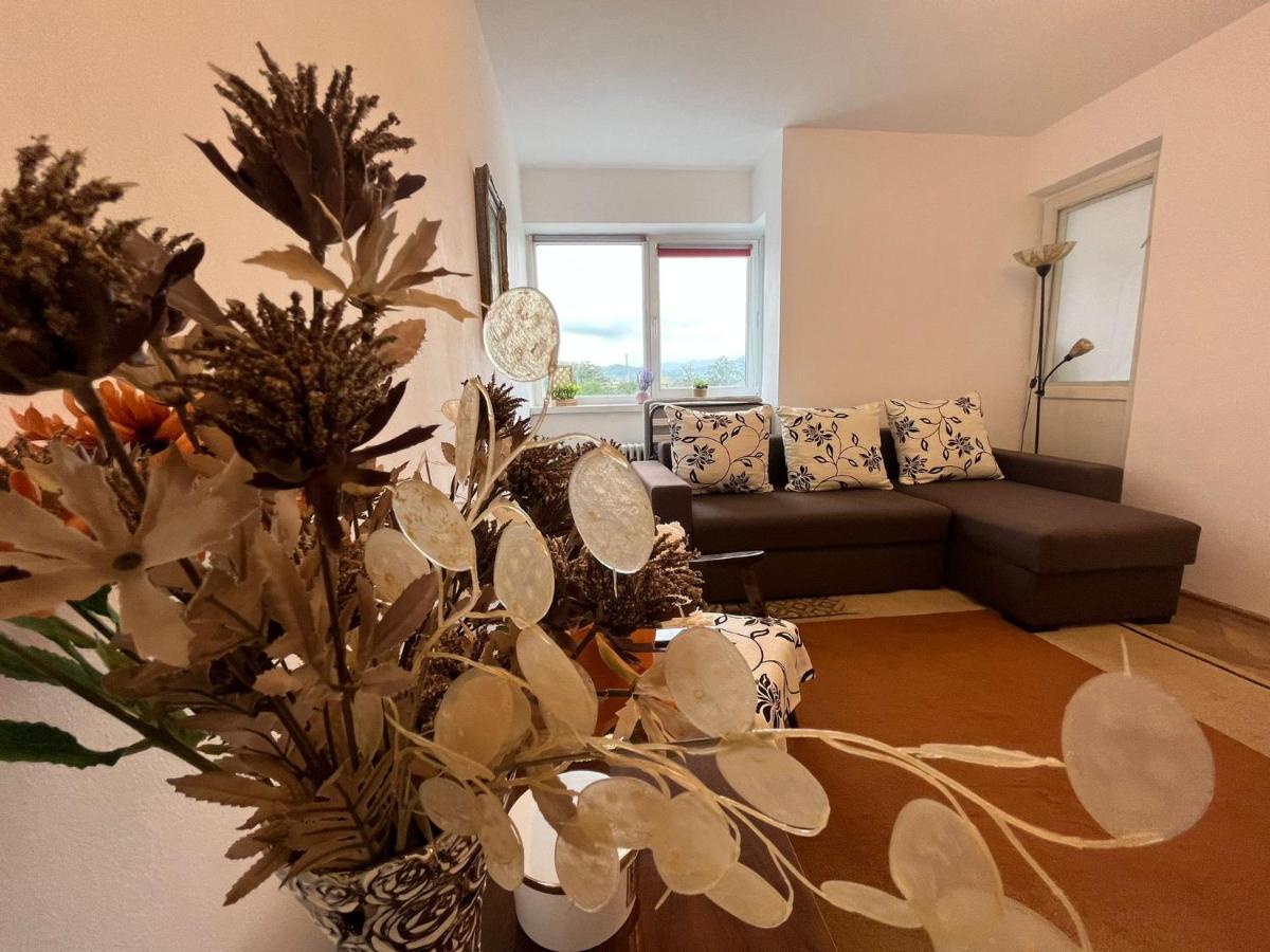 Lala'S Sweet Nest Appartement Călimăneşti Buitenkant foto