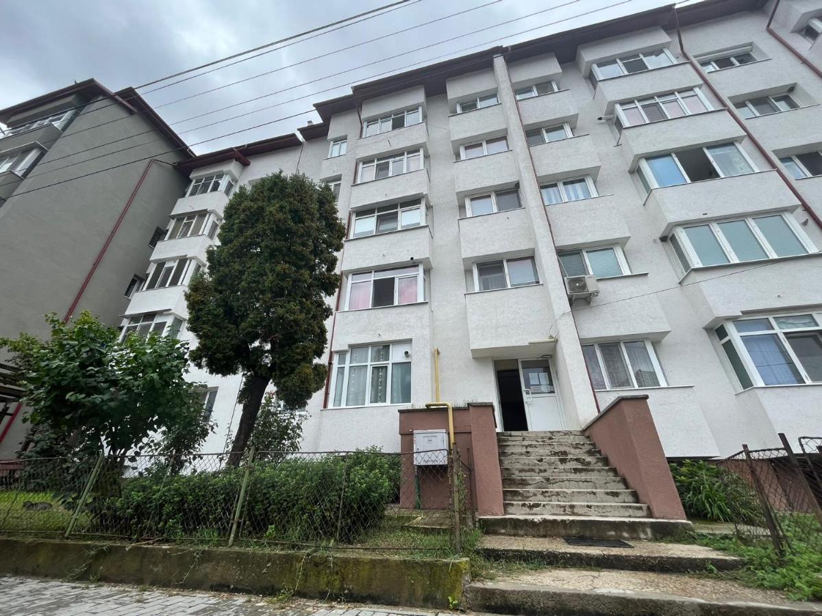 Lala'S Sweet Nest Appartement Călimăneşti Buitenkant foto