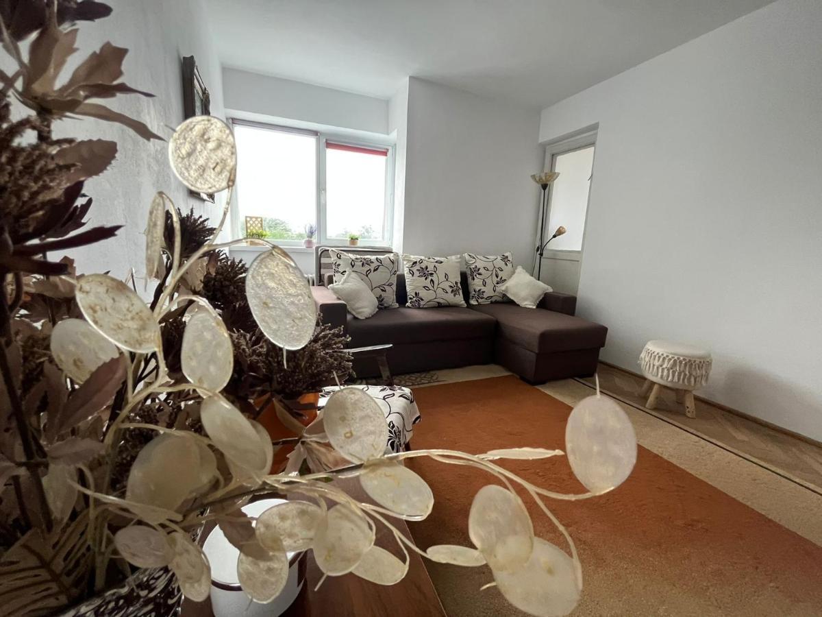 Lala'S Sweet Nest Appartement Călimăneşti Buitenkant foto