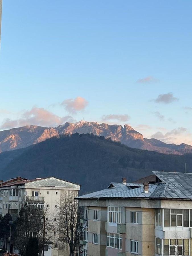 Lala'S Sweet Nest Appartement Călimăneşti Buitenkant foto