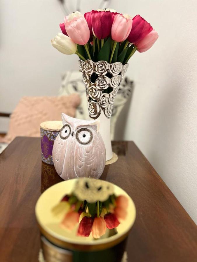 Lala'S Sweet Nest Appartement Călimăneşti Buitenkant foto